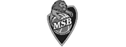 Le Mans Sarthe Basket